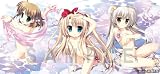 �������ꥢ�󥨥������������٥�ȸ����� �ޥ������ե����С�������(illust ƣ�����)