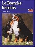 Le Bouvier bernois->Cliquez ici pour obtenir des informations sur ce livre