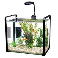 Fish & Aquatic Supplies Parallel 2.5 Gallon Designer Glass Aquarium - Black