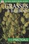 Grasses and Bamboos (Rhs Practicals)