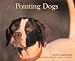 Book Just Pointing Dogs