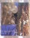 Wolf Wild Eyes Animal Widlife Cabin Lodge Picture Art Print