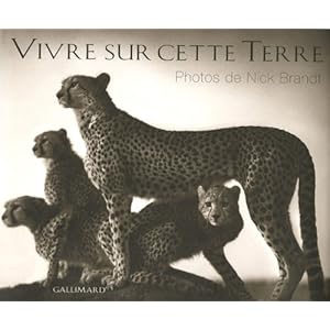 512W9ME99AL._SL500_AA300_