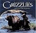 Lives of Grizzlies: MT & WY