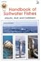 Handbook of Saltwater Fishes