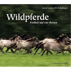Wildpferde: Freiheit auf vier Beinen