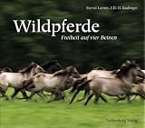 Wildpferde: Freiheit auf vier Beinen