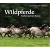 Wildpferde: Freiheit auf vier Beinen
