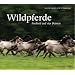 Wildpferde: Freiheit auf vier Beinen