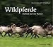 Third Party New : Wildpferde: Freiheit auf vier Beinen
