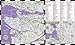 Streetwise Vancouver: City Center Street Map of Vancouver, Canada
