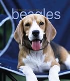 Beagles Weekly 2005 Calendar