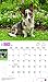 For the Love of Welsh Corgis, 2017 Calendar (English, French and Spanish Edition)