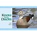 Know Your Ducks