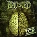 Insane Cephalic Production
