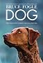 Dog: The Definitive Guide for Dog Owners: For the Complete Care and Understanding of Your Best Friend