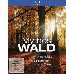 Mythos Wald [Blu-ray]