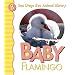 Baby Flamingo (San Diego Zoo Animal Library)