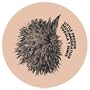 Recommendation (Toddla T remix)