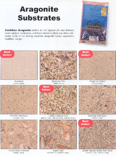 Buy Carib Sea Seaflor Saltwater Flamingo Reef Sand 15 lb