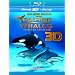Dolphins & Whales (Blu-ray 3D + Blu-ray)