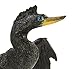 Safari Ltd. Wings of The World - Anhinga - Realistic Hand Painted Toy Figurine Model - Quality Construction from Safe and BPA Free Materials - for Ages 3 and Up