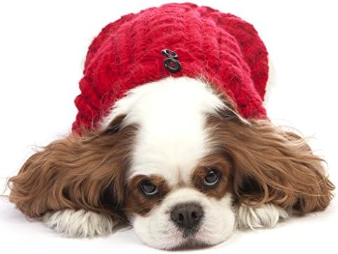 CHASING TAILS Handmade Knit Dog Sweater with Turtleneck Collar and Button Details (Red, 12)