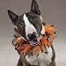 Trick or Treat Spooky Halloween Scrunchie Dog Collar