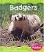 Badgers (Pebble Books)