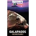 Discovery Channel - Galapagos