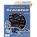 Robotic Scorpion