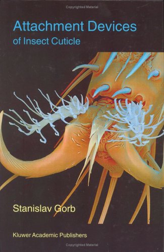 Invertebrates