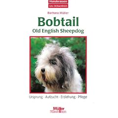Bobtail