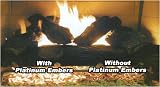 Review Advanced Catalyst Systems  / Platinum Bright Embers