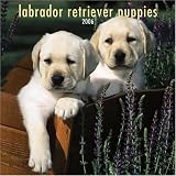 Labrador Retriever Puppies 2006 Calendar