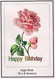 High Risk: 16x9 Widescreen TV.: Greeting Card: Happy Birthday