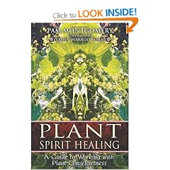Plant Spirit Healing: A Guide to Working with Plant Consciousness