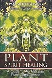 Plant Spirit Healing: A Guide to Working with Plant Consciousness