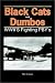 Black Cats and Dumbos: WW II's Fighting PBYs