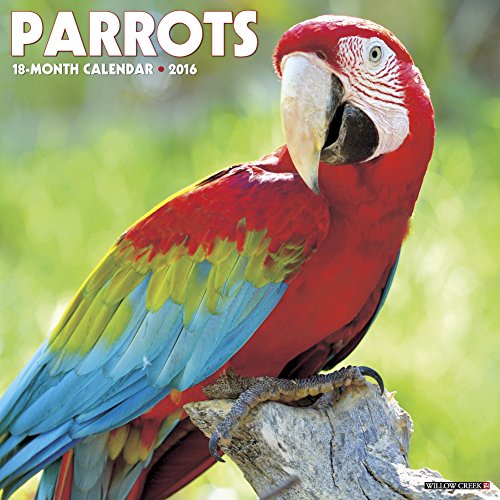Parrots - 2016 Calendar 12 x 12in