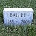 Custom Personalized Gray Granite Pet Memorial Stone