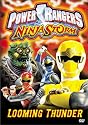 Power Rangers Ninja Storm: Looming Thunder [DVD] [2003] [Region 1] [US Import] [NTSC]