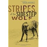 stripes of the sidestep wolf