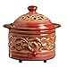 Hosley's Red Electric Potpourri Warmer, 4.5