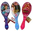 Disney High School Musical hair accessory - HSM Hair Brush (assorted design)