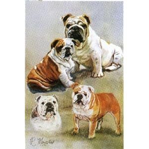 Bulldogs House Flag