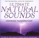 Inspiring Thunderstorm