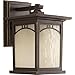 Progress Lighting P6052-20 Residence 1 Light Small Wall Lantern, 6