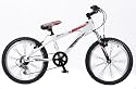 Coyote Warrior Aluminium Boys Mountain Bike 7-9 Years