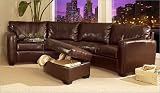 Jade Leather Sectional Sofa By Coaster Furniture With Silver Shipping